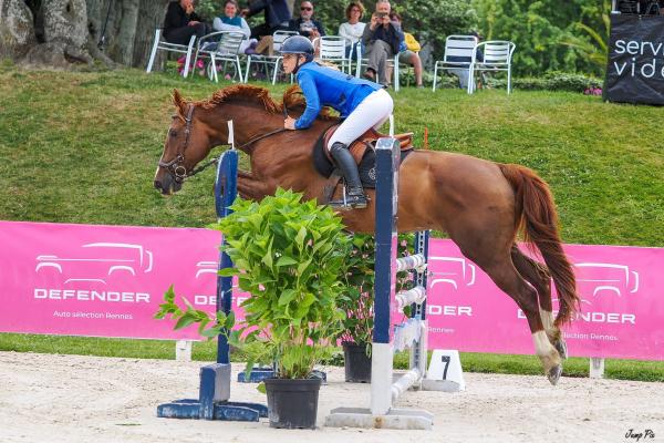 photo de alouette-de-riverland